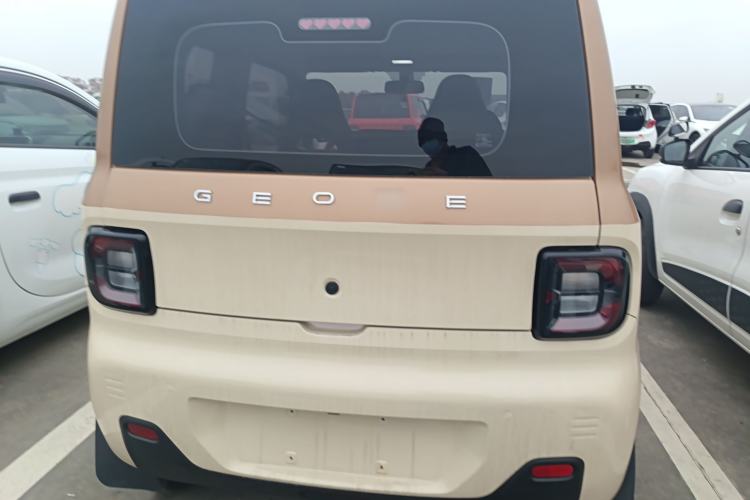 Used  Panda 2023 Panda Mini 200km Endurance Bear
