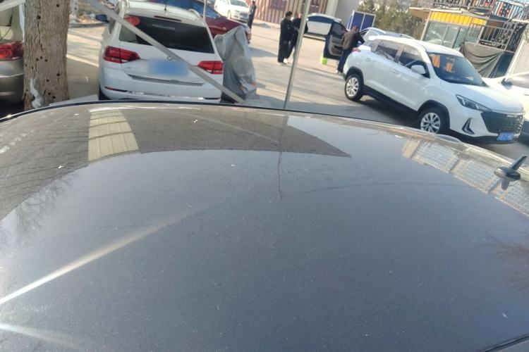 Used ORA Black Cat 2019 310km Fun Edition