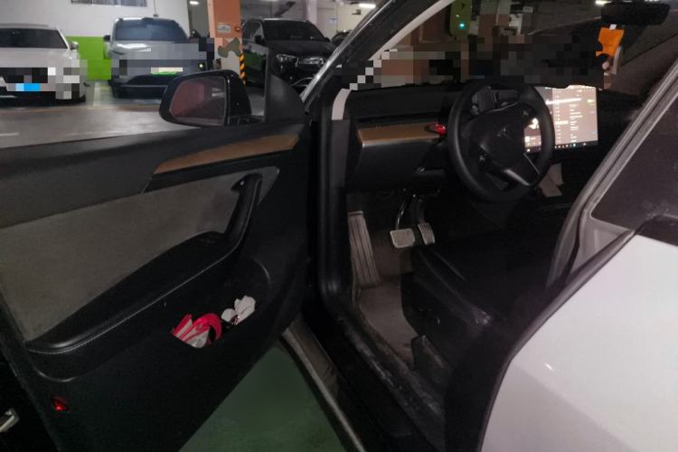 Used Tesla Model Y 2021 Standard Range Rear-Wheel Drive Version
