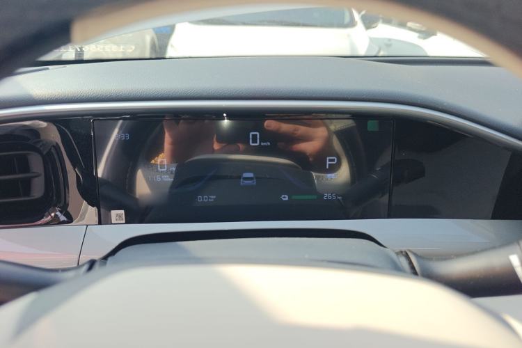 Used  Geome 2025 310km Youth Edition
