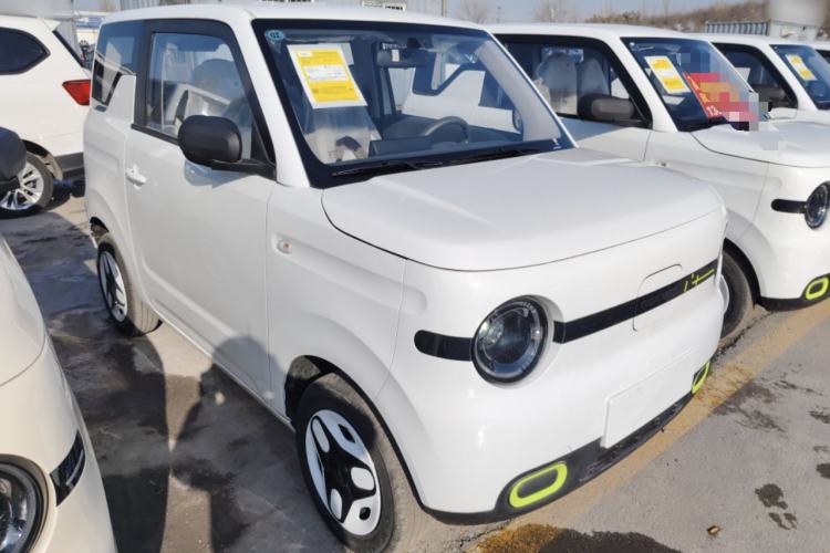 Used  Panda 2025 210 km – Yuanqi Bear
