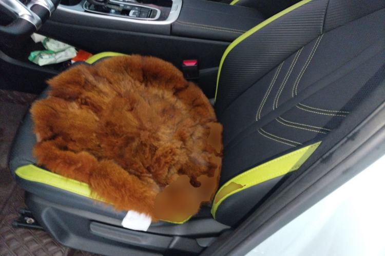 Used FORTHING Friday 2023 430 Elite
