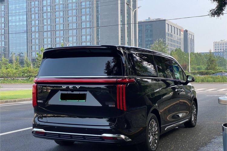 Used Wey Gaoshan 2023 Four-Wheel-Drive Executive Extended Version

