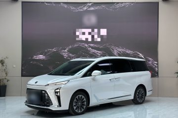 Used Buick GL8 2025 Lu Zun Deluxe Edition