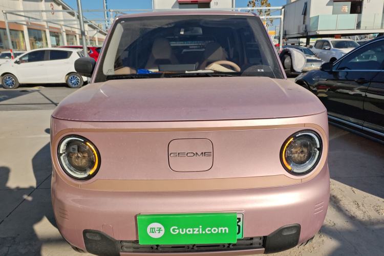 Used  Panda 2024 Panda Mini 200km Endurance Bear
