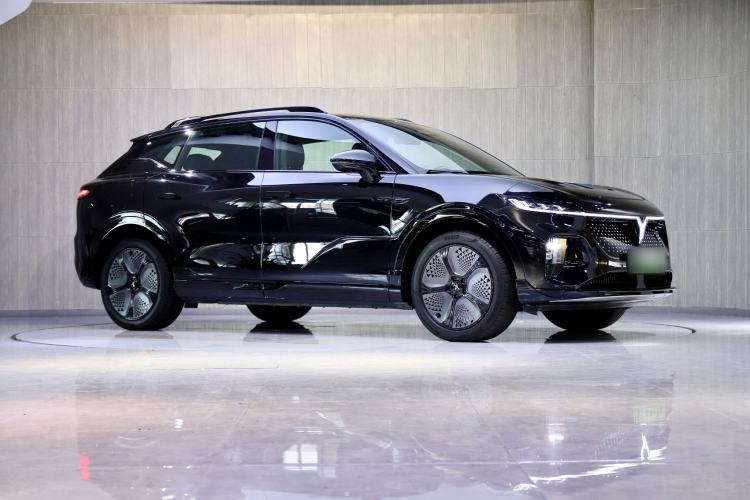 Used VOYAH COURAGE 2024 Four-Wheel Drive Global Edition
