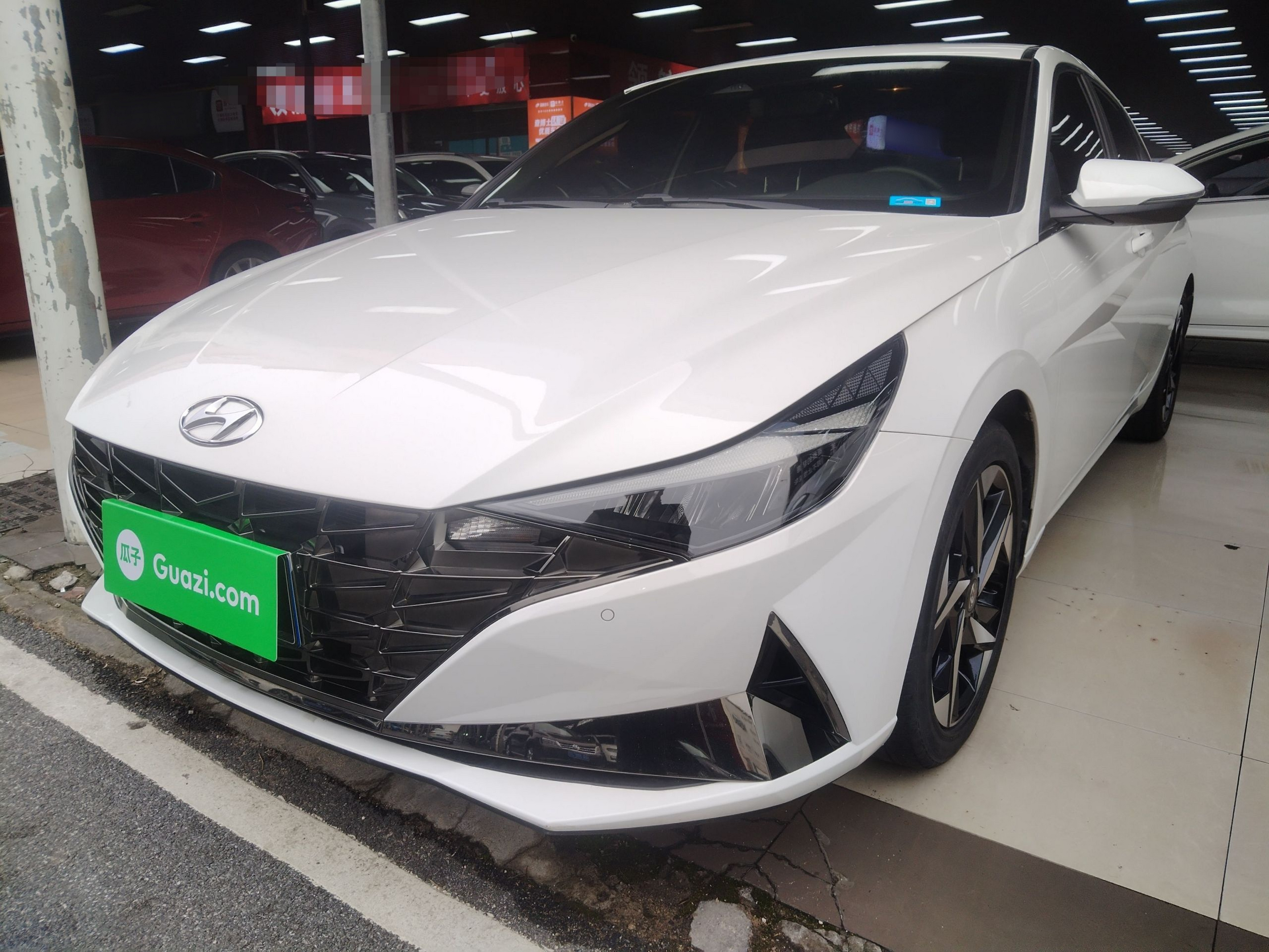 تحت مقدمة السيارة