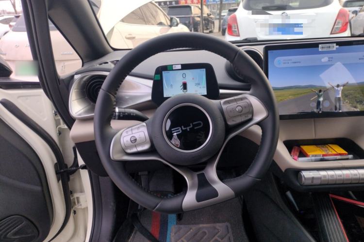 Used BYD Dolphin 2025 420km Free Edition
