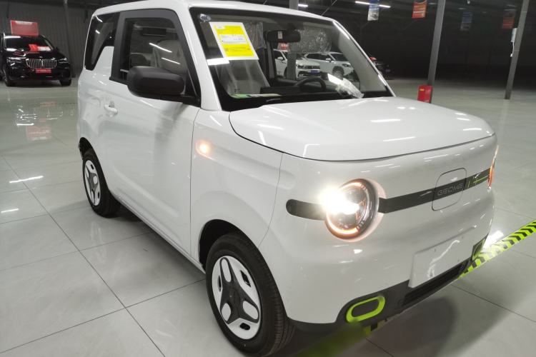 Used  Panda 2025 210 km – Yuanqi Bear