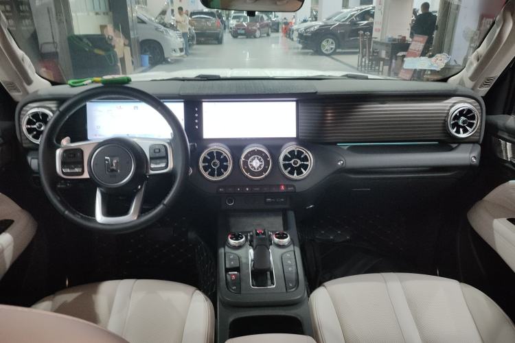 Used Tank 300 New Energy 2024 Hi4-T
