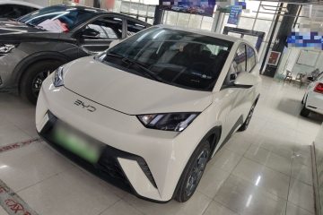 Used BYD Seagull 2024 Honor Edition 305km Freedom Version