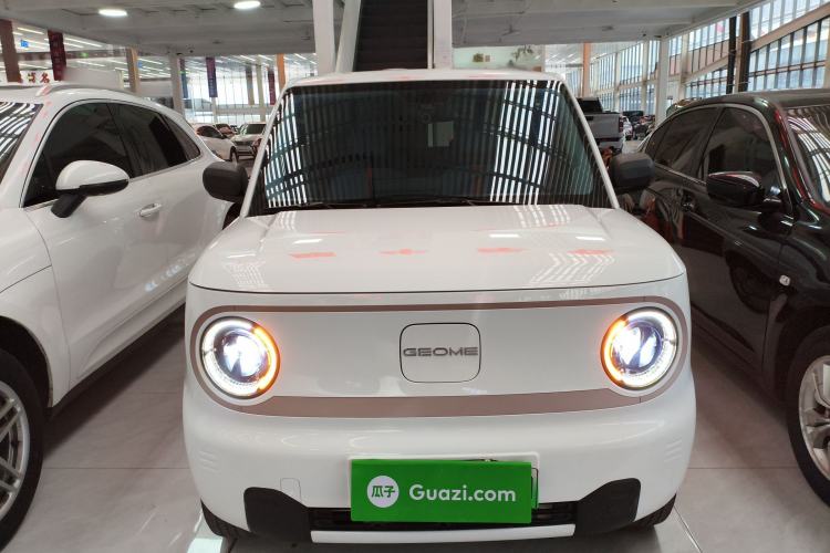 Used  Panda 2023 Panda Mini 200km Endurance Bear