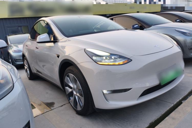 Used Tesla Model Y 2021 Standard Range Rear-Wheel Drive Version