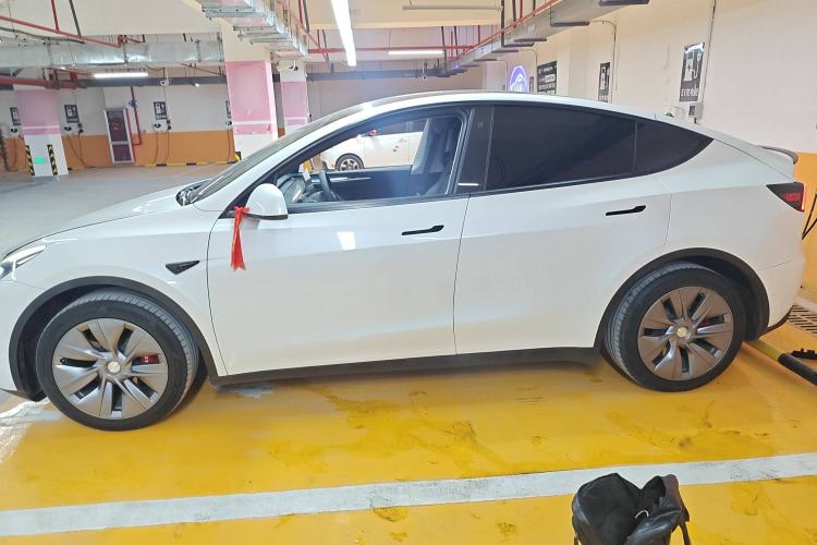 Used Tesla Model Y 2021 Standard Range Rear-Wheel Drive Version
