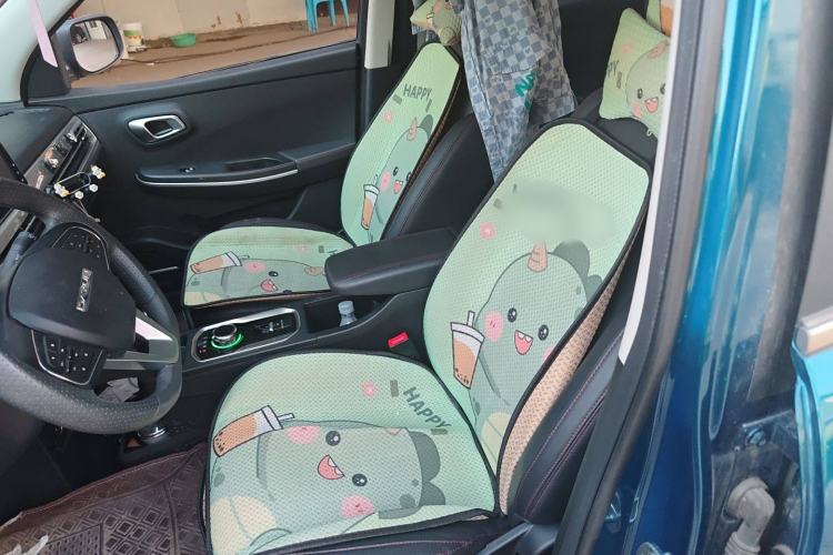 Used Dayun Yuehu 2021 Two-Wheel Drive Standard Version
