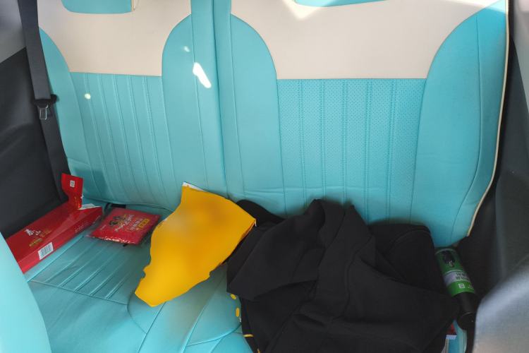 Used  Panda 2024 Panda Mini 200km Endurance Bear