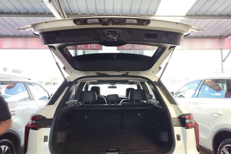 Used Venucia Star 2020 260T Automatic XingShang Edition
