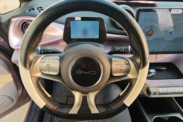 Used BYD Dolphin 2021 405 km Free Version
