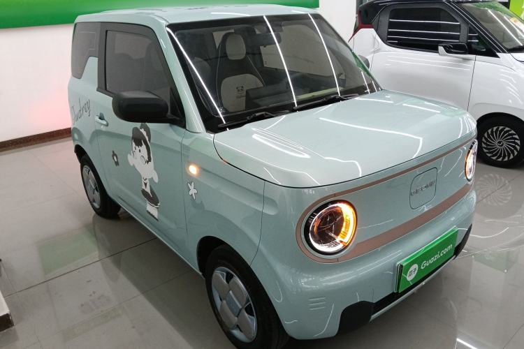 Used  Panda 2023 Panda Mini 200km Endurance Bear