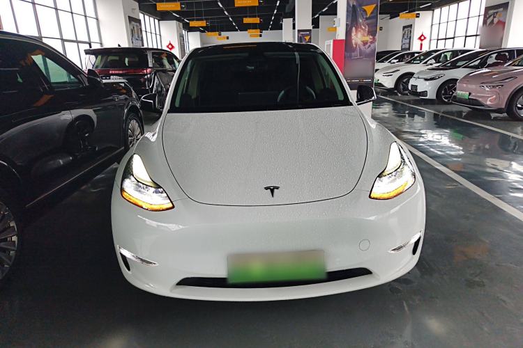 Used Tesla Model Y 2021 Standard Range Rear-Wheel Drive Version
