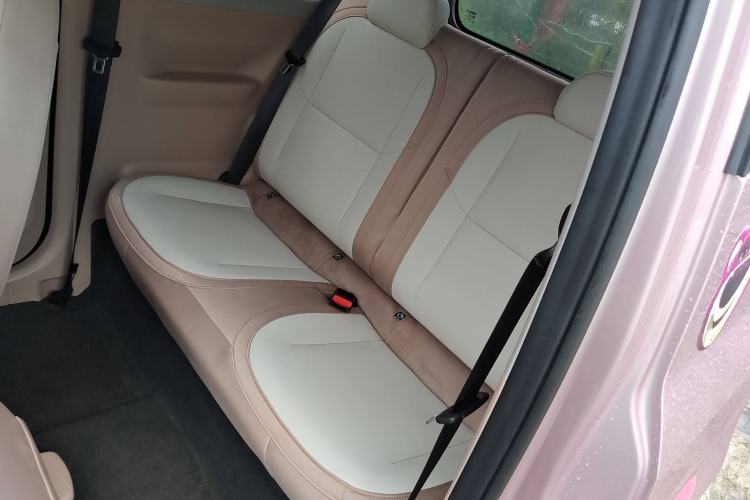 Used  Panda 2023 Panda Mini 200km Endurance Bear
