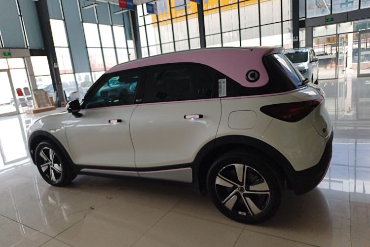 Used  #1 2024 Dynamic Standard Edition