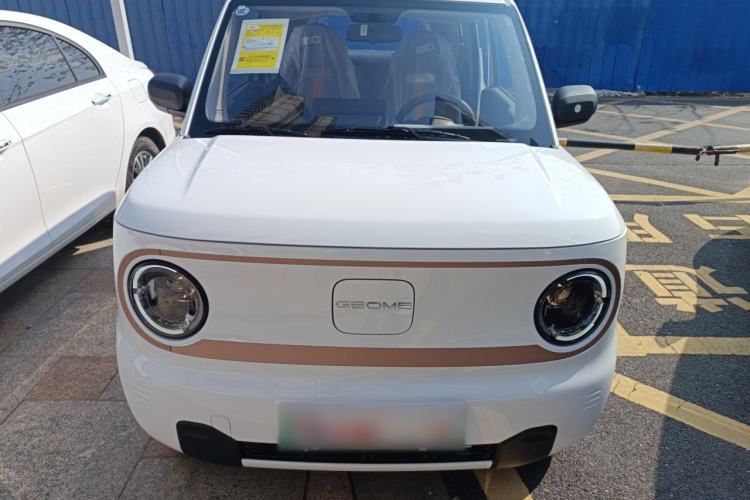 Used  Panda 2024 Panda Mini 200km Endurance Bear
