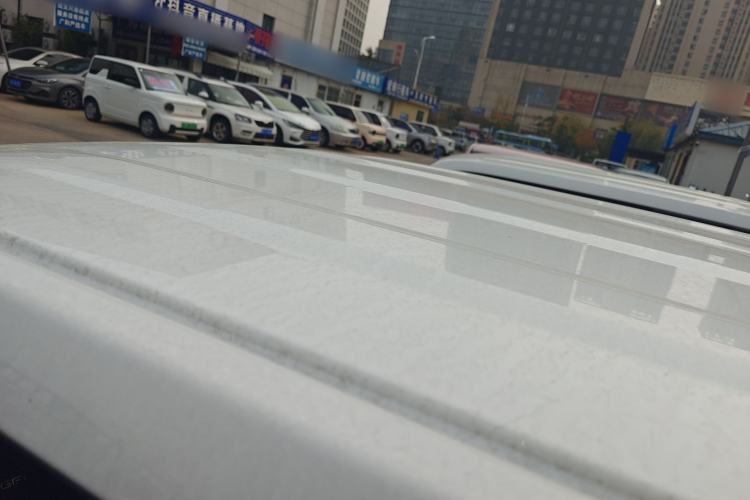 Used  Panda 2024 Panda Mini 200km Endurance Bear
