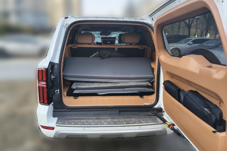 Used Tank 500 New Energy 2024 Hi4-T
