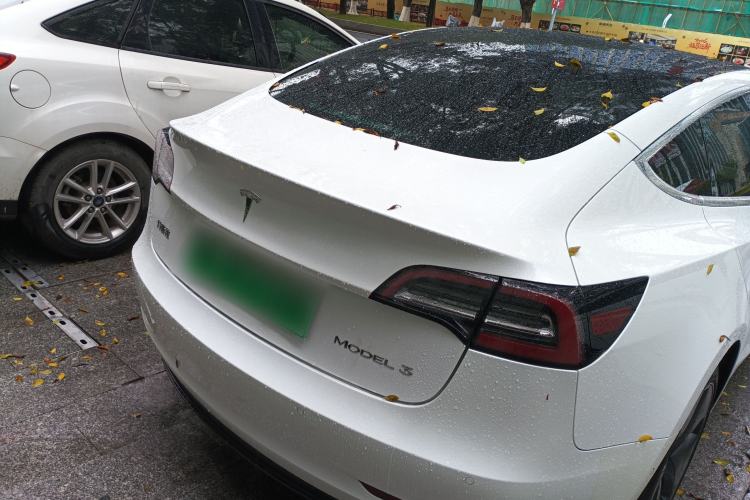 Used Tesla Model 3 2020 Standard Range Rear-Wheel Drive Upgraded Version
