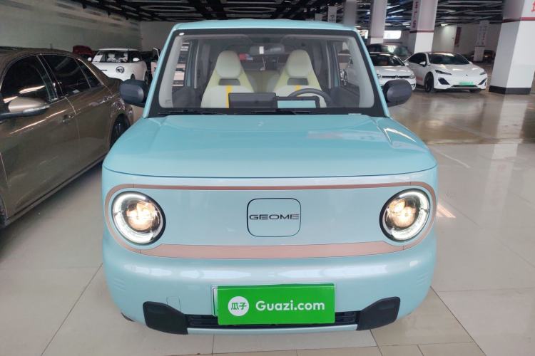 Used  Panda 2024 Panda Mini 200km Endurance Bear