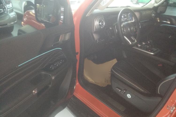 Used Tank 300 2024 2.0T Conqueror
