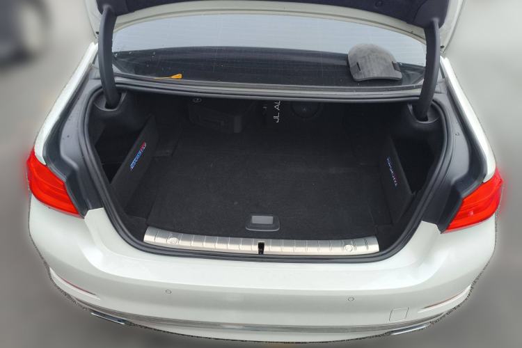 Used BMW 5 Series New Energy 2019 530Le Luxury Package
