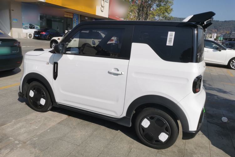 Used  Panda 2024 200km Panda Kart
