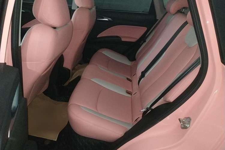 Used NETA V 2021 Witch Edition
