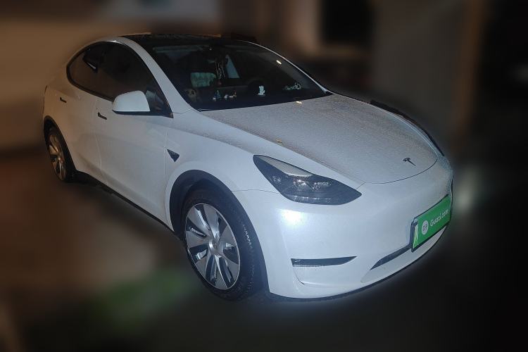 Used Tesla Model Y 2021 Standard Range Rear-Wheel Drive Version
