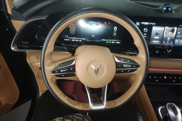 Used VOYAH Dream 2022 Low-Carbon Edition Home