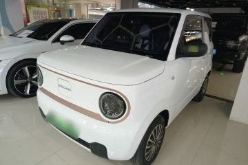 Used Geely Galaxy Panda 2024 Panda Mini 200km Endurance Bear