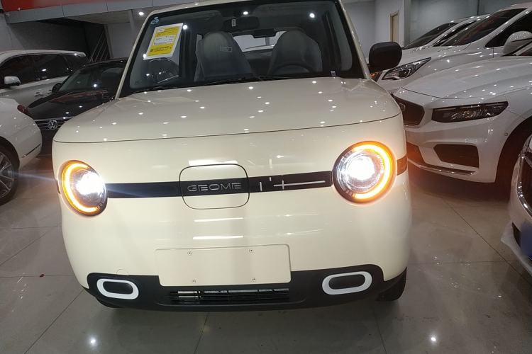 Used  Panda 2025 210 km – Yuanqi Bear
