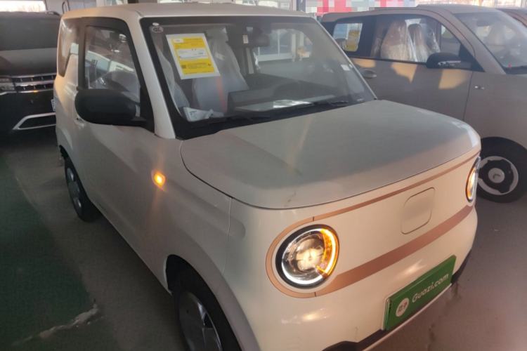Used  Panda 2024 Panda Mini 200km Endurance Bear