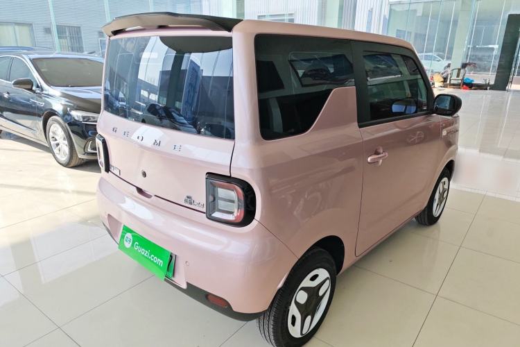 Used  Panda 2025 210 km – Yuanqi Bear