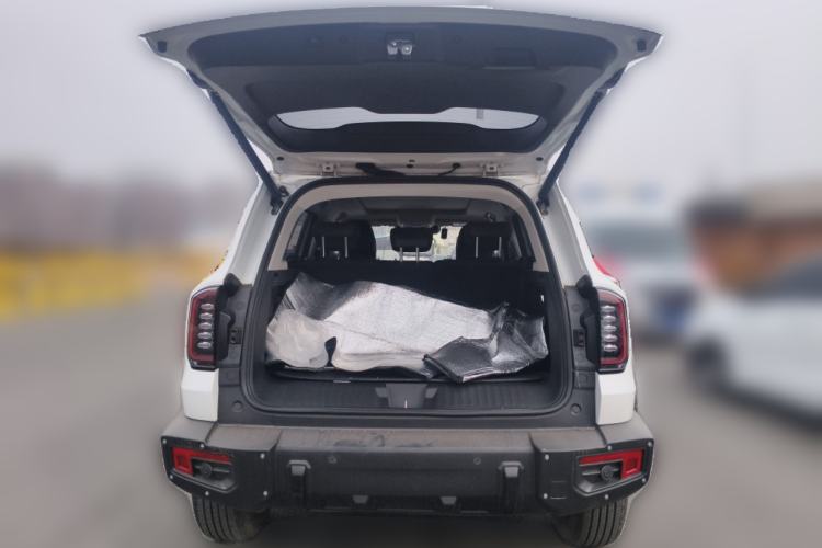 Used Haval DARGO 2024 2.0T DCT Chinese Rural Dog Edition