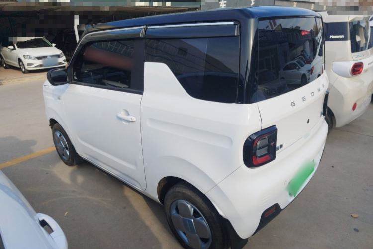 Used  Panda 2024 Panda Mini 200km Endurance Bear
