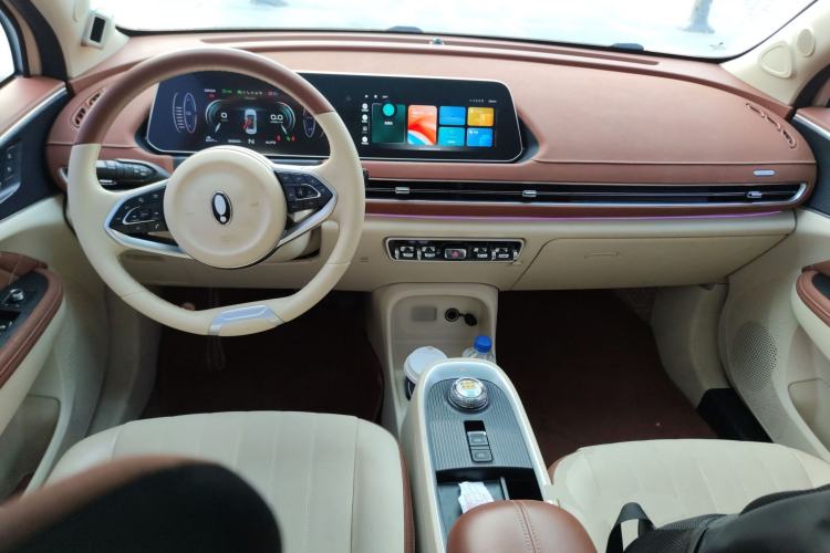 Used ORA Good Cat 2021 400km Standard Range Athena Edition Lithium Iron Phosphate