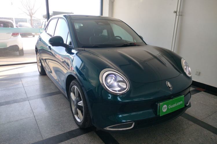 Used ORA Good Cat 2023 401 km Standard Range Luxury Version Lithium Iron Phosphate