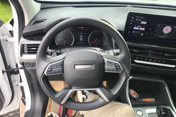 Used Haval H6 2021 National Trend Edition 1.5T Automatic Urban Version
