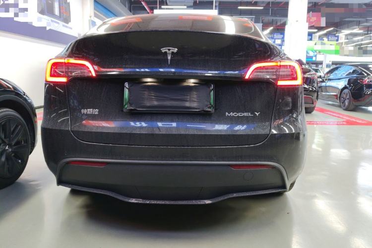 Used Tesla Model Y 2021 Standard Range Rear-Wheel Drive Version
