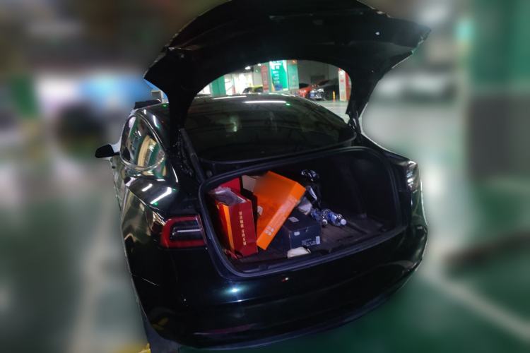 Used Tesla Model 3 2021 Performance High-Performance All-Wheel-Drive Version