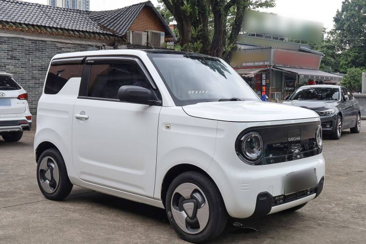 Used  Panda 2023 Panda Mini 200km Dynamic Bear
