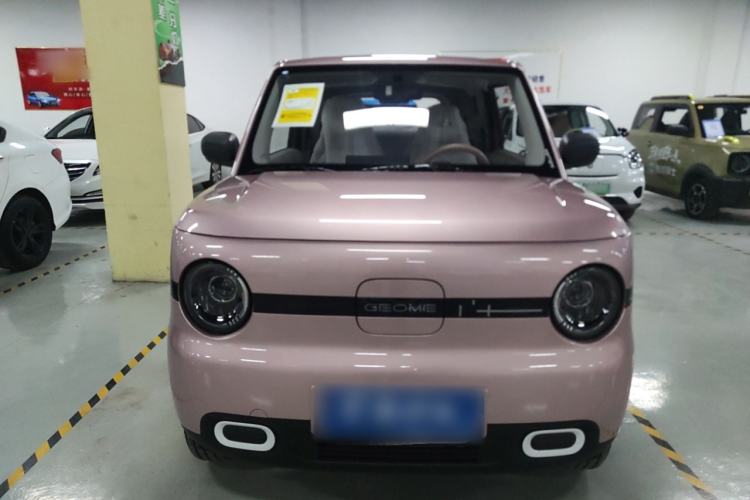 Used  Panda 2025 210 km – Yuanqi Bear
